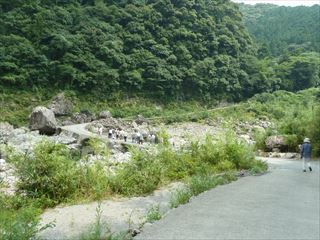 P1160433_R.JPG