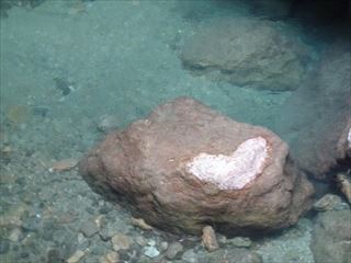 P1160451_R.JPG