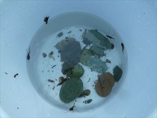 P1160547_R.JPG