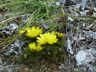 P1180228_R.JPG