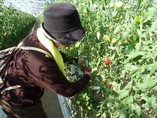 P1180278_R.JPG