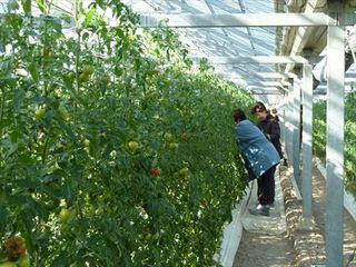 P1180281_R.JPG