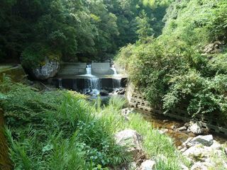 P1210429_R.JPG