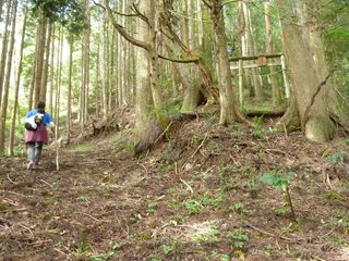 P1210655_R.JPG