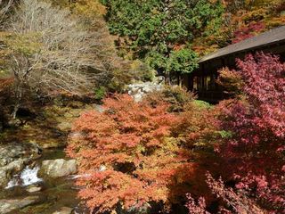 P1210703_R.JPG