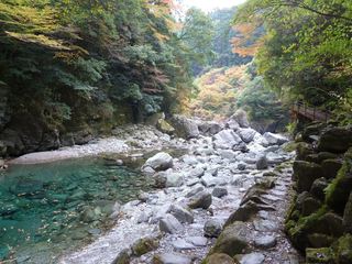 P1210709_R.JPG