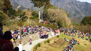 RIMG1203.JPG