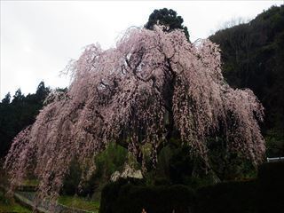 RIMG1366_R.JPG