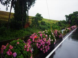 RIMG1477_R.JPG