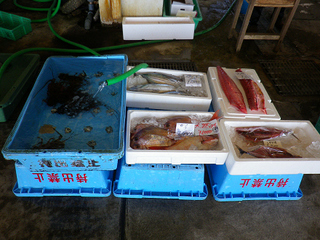 resize0813.jpg