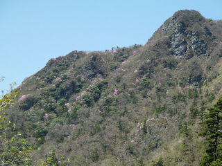 resize0897.jpg
