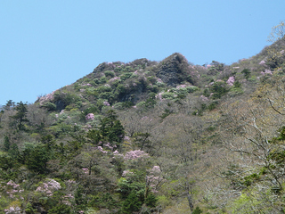 resize0899.jpg