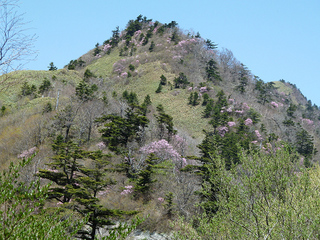 resize0901.jpg