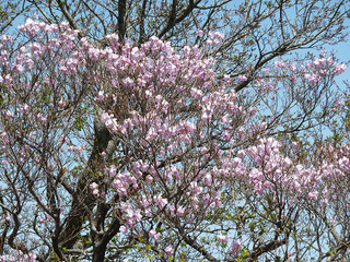 resize0904.jpg