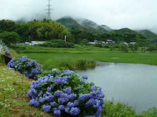 resize0970.jpg