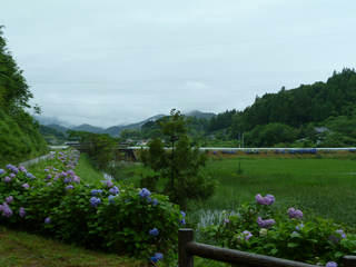 resize0971.jpg