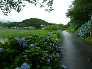 resize0972.jpg