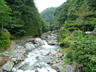 resize1135.jpg
