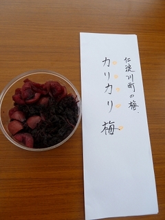 resize1142.jpg