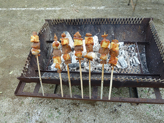 resize1655.jpg