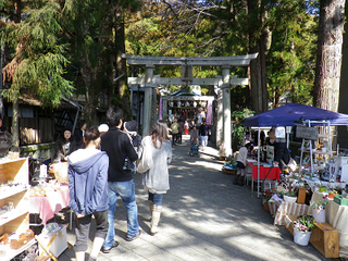 resize2115.jpg