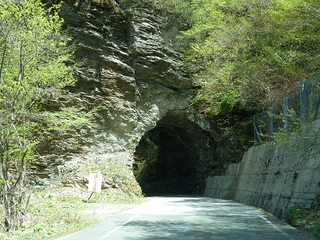 resize0896.jpg